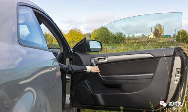 狗尿车里,狗尿车里了