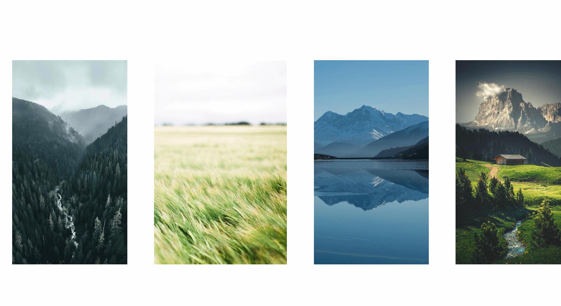 ppt发布会动画视频,ppt免费生成插件