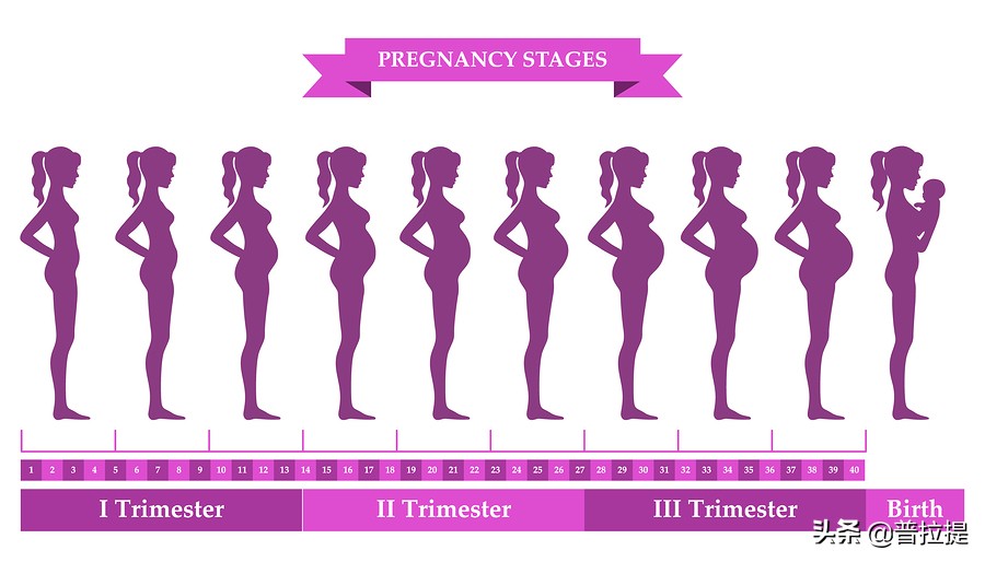 为什么孕期要做普拉提,孕期可以普拉提吗