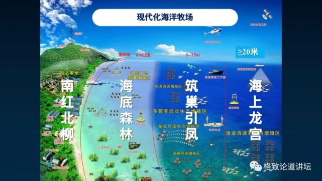 除了能提高人体免疫力，这个“肥宅”还是海底清道夫