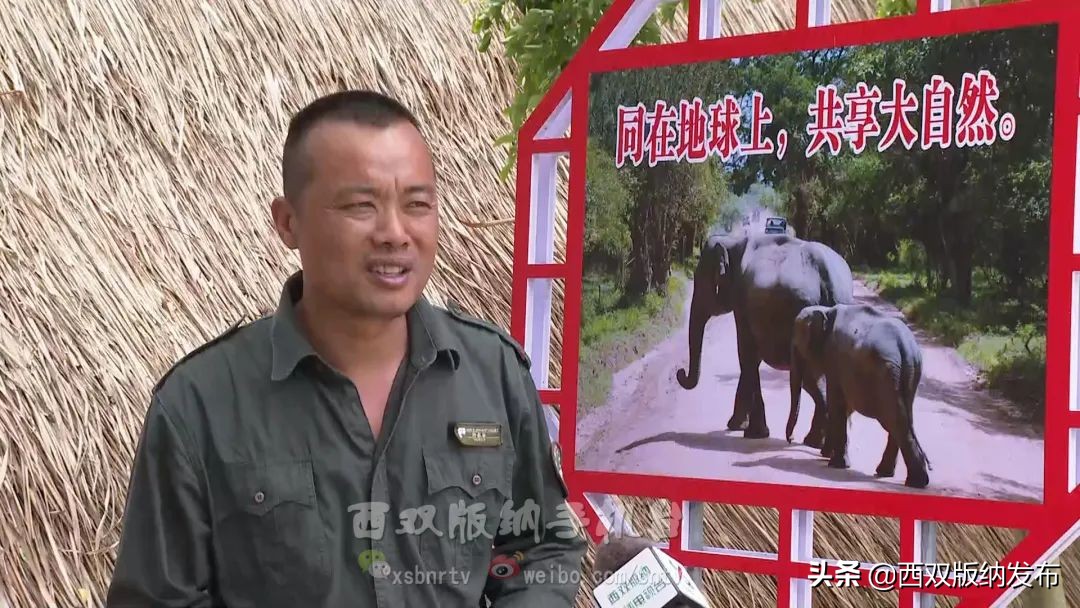浜鸿薄鍜岃皭鍏卞,浜烘槸鎬庢牱涓庤嚜鐒跺拰璋愮浉澶勭殑浜嬩緥