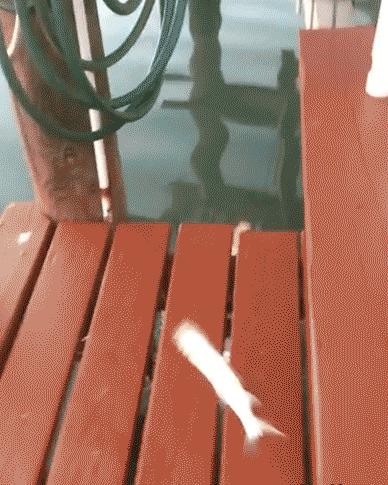 铁砂掌搞笑小视频,搞笑gif妹子你这心机有点深啊