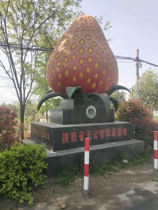 堪称样板!这家合作社有“独门秘笈”,还是有“高人指点”