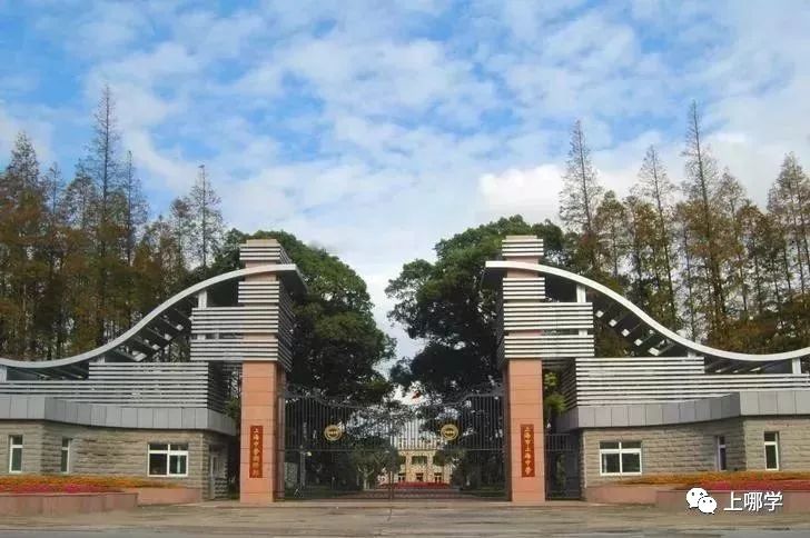 上海中学6所嫡系初中盘点！抢占上中近8成录取名额