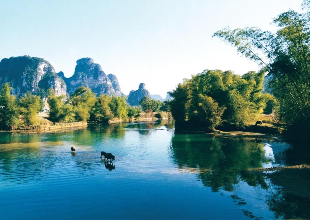 震撼崇左这下在全国出名了,崇左第一强县