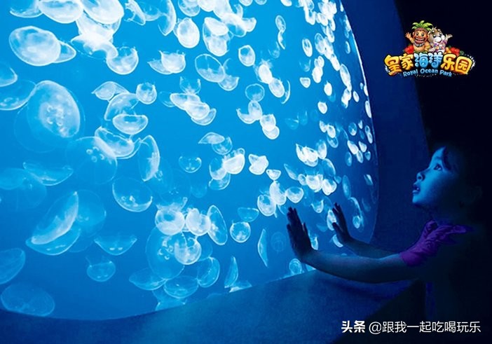 抚顺海洋馆外面有什么,沈阳和抚顺哪个海洋馆比较好