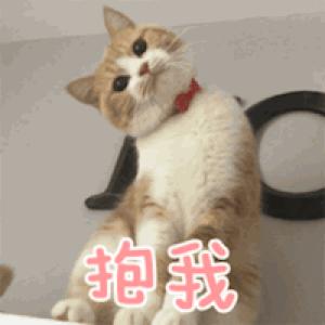 被猫咪抓了会传染吗,被猫咪抓伤了什么症状会感染