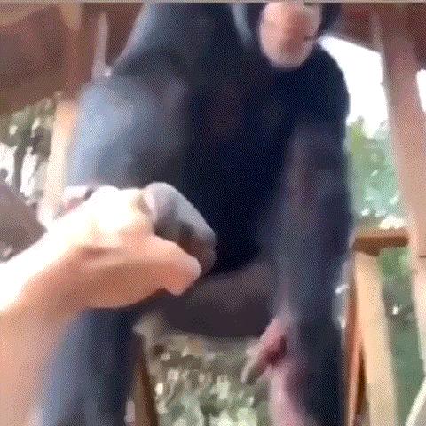 丢人搞笑动图gif,搞笑gif趣图世人皆醒我独睡