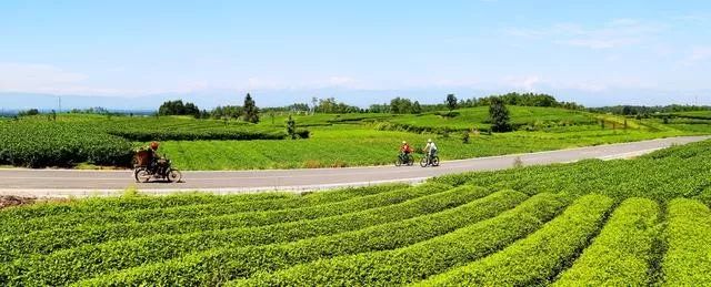 3月底蒲江十大网红打卡地,蒲江旅游十大必去景点