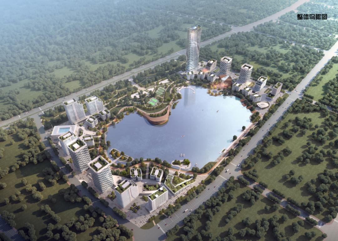 开挂了！比肩世界的爆款区域利好多到数不清！一般人已高攀不起