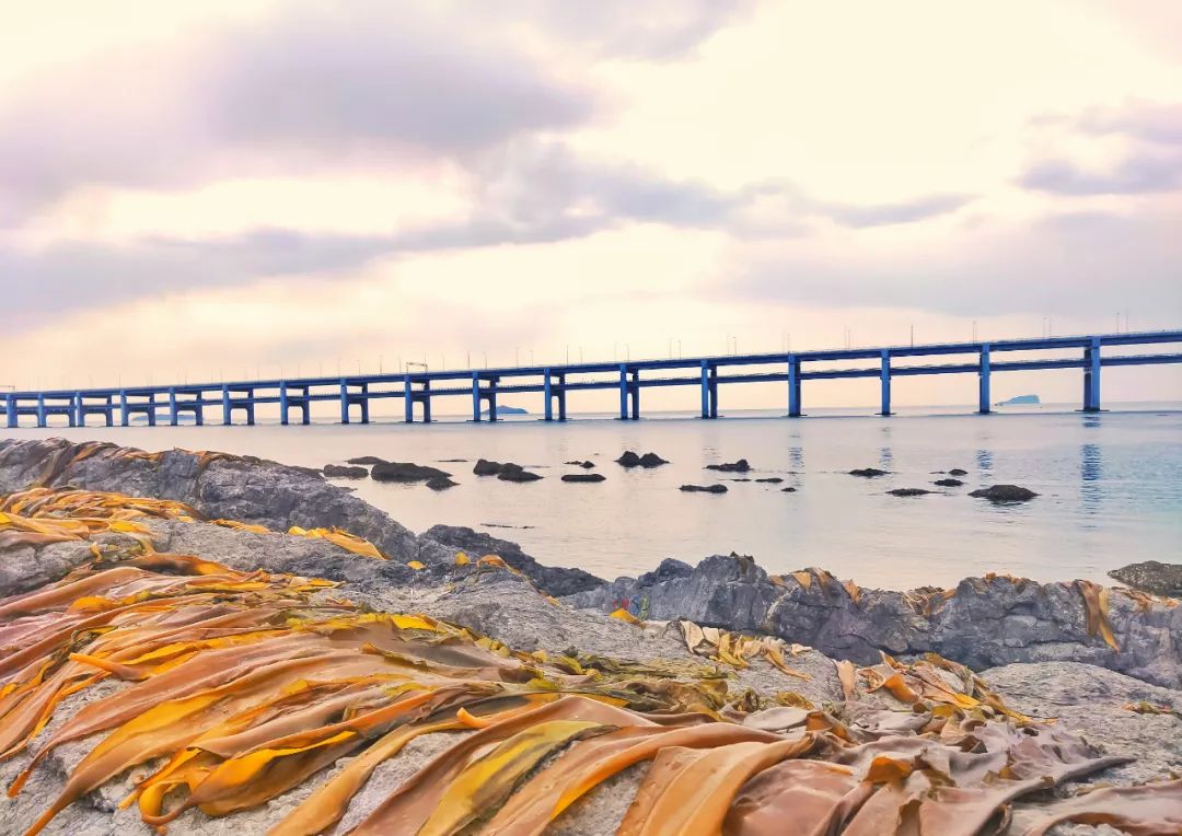 2022春节大连本命年免费景点,大连免费景点排行榜前十名