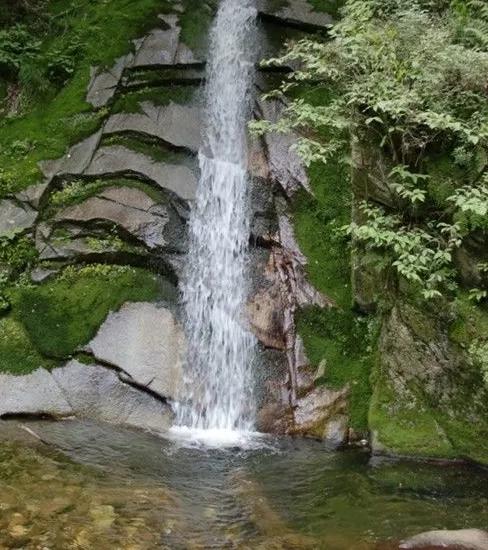 陈琼花抖音,秦岭九龙潭农家院