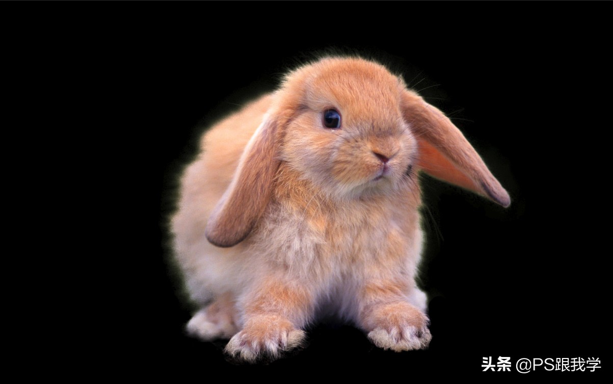 ps魔棒工具选区羽化,ps羽化选区攻略