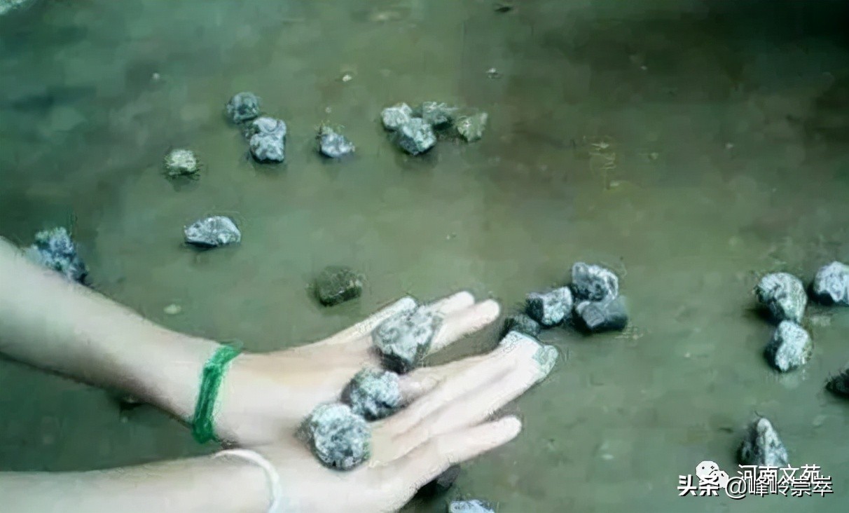 《金色童年》作者李鹏飞