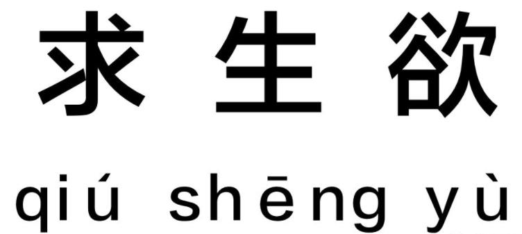 央媒点名王者荣耀精神鸦片,央媒点名王者荣耀网友反应