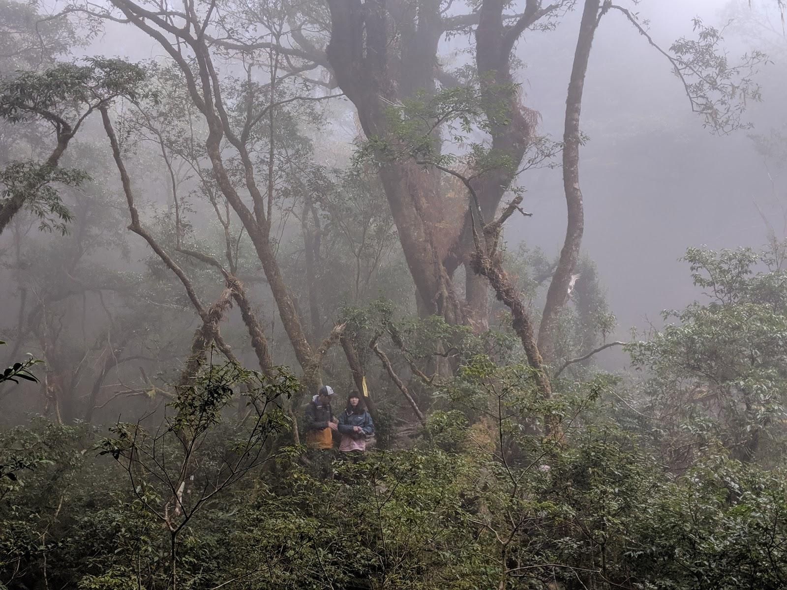 lasportiva越野跑鞋,lasportiva