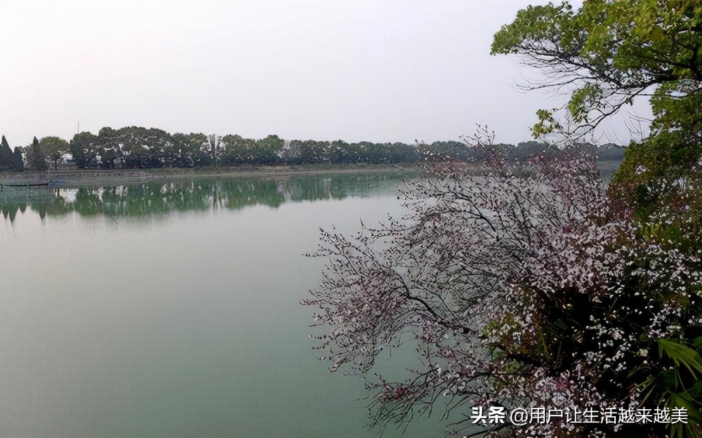 上海淀山湖好去处,上海淀山湖有什么好说