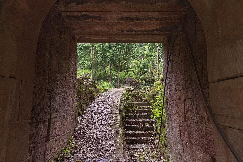 渝北枇杷正黄，冒冒失失穿越铁壁、胜保、斗碗三寨