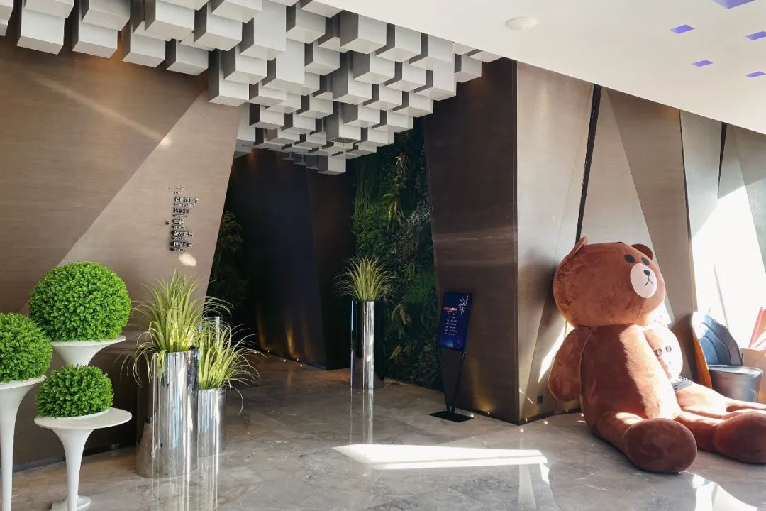 一个人穷游中国江苏扬州,一个人穷游中国扬州景区