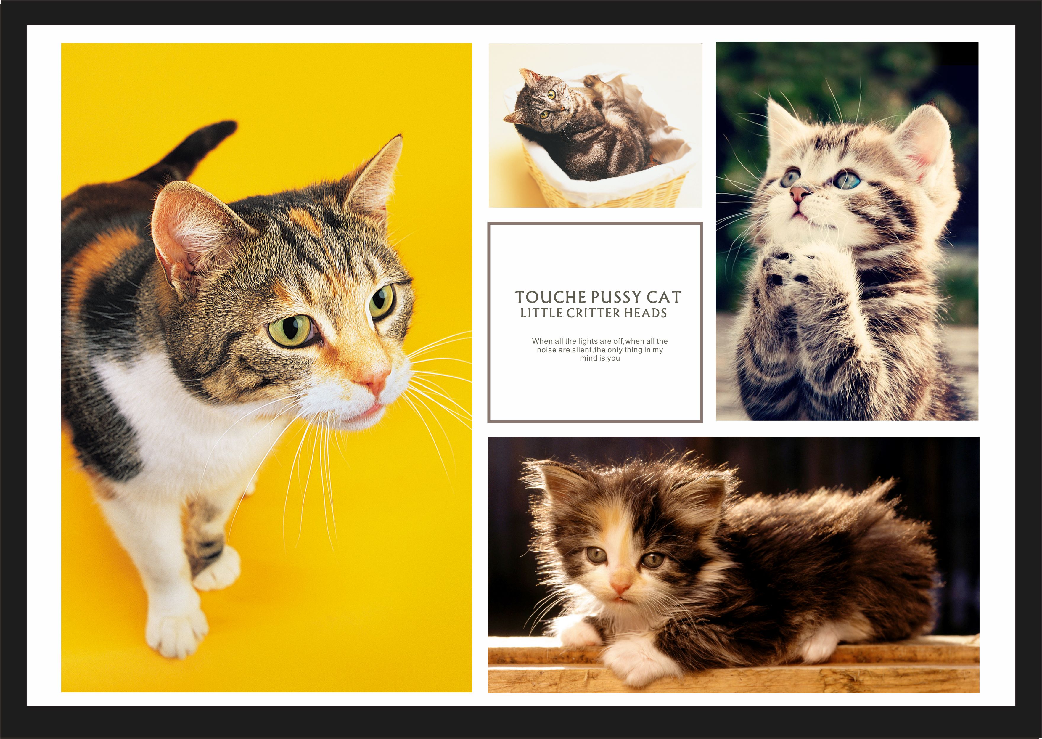 coreldraw怎么导入cdr文件,coreldrawcdr如何使用