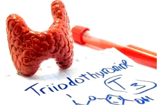 促甲状腺激素能预防乳腺癌吗,三碘甲状腺原氨酸1.71