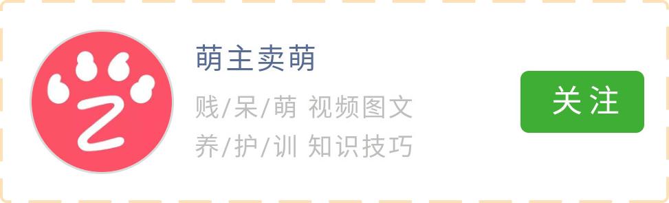 狗狗亲近主人,狗狗亲近人的声音