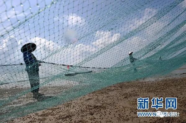 东兴是个浪漫的城市,曾经的东兴有什么故事