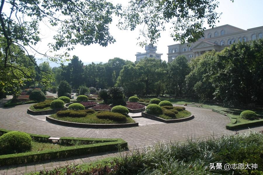 西南大学研究生2020录取分数线,西南大学艺术类录取分数线2020