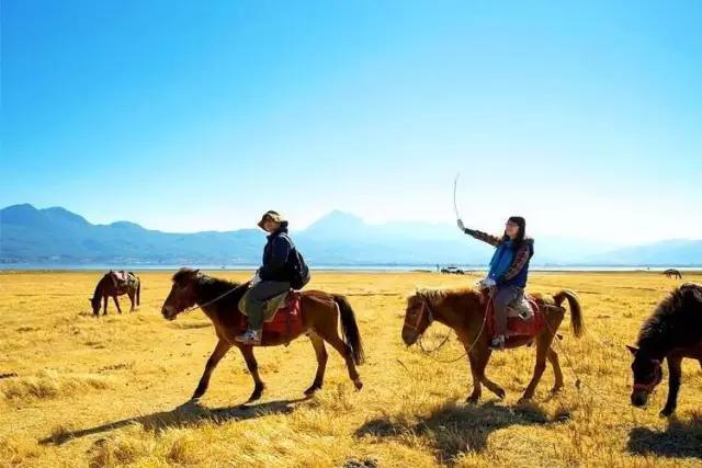 丽江拉市海骑马骗局,丽江拉市海骑马多少钱