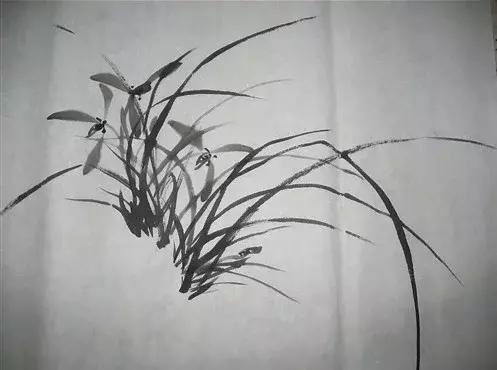 国画入门山石画法兰花,兰花小鸡国画写意画法