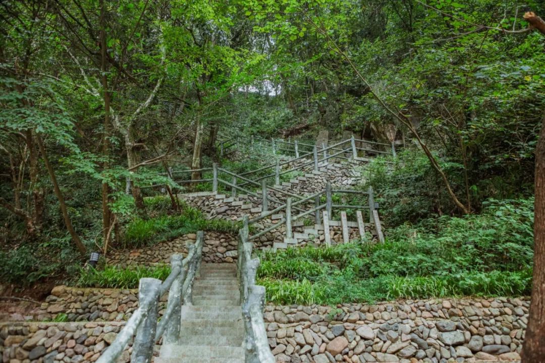 金华小九寨风景区,小九寨原始森林半日游