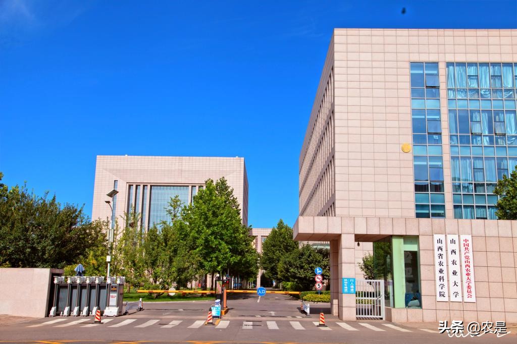 石磊，山西农业大学副教授、硕导，畜禽繁殖专家