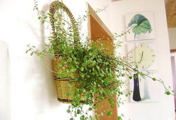 装修后怎么除甲醛最快最有效,装修完急住怎么除甲醛最好