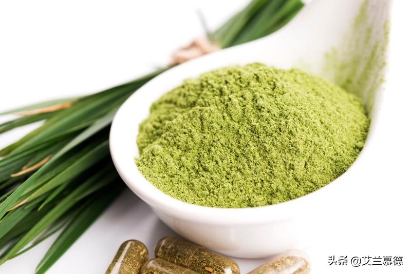 大麦若叶青汁真的有减肥的作用吗,青汁大麦若叶真的可以减肥吗