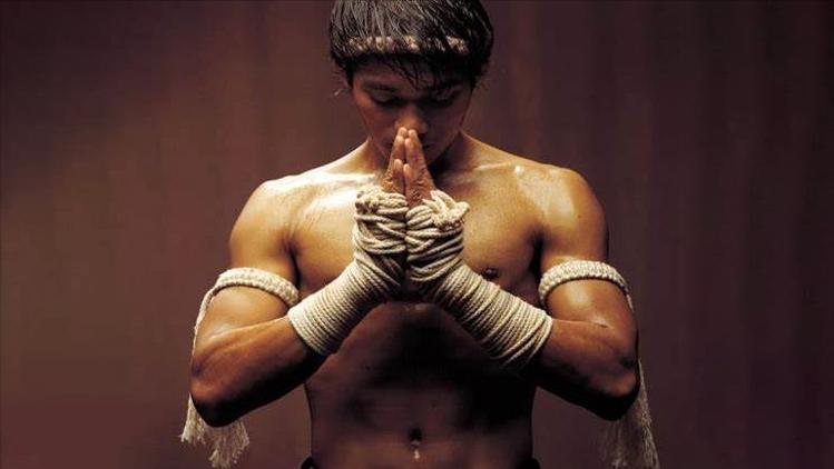 全部泰国斗鱼,泰国斗鱼品种图鉴大全