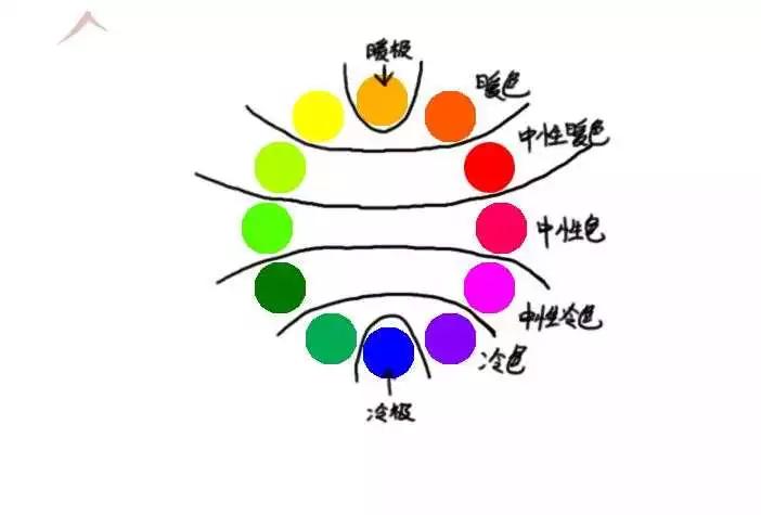 如何装修宠物店高端大气,如何运营一家高端宠物店