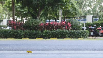 dc成人卫裤,dc卫裤冬季