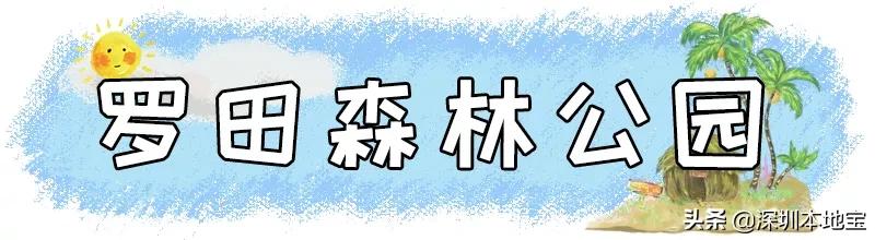 深圳完全免费的十大景点,深圳10大免费景点上集