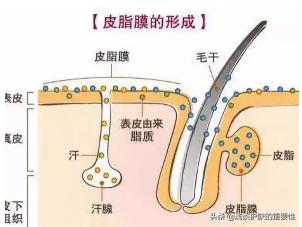 有痘痘的皮肤适合用什么牌子的护肤品呢？