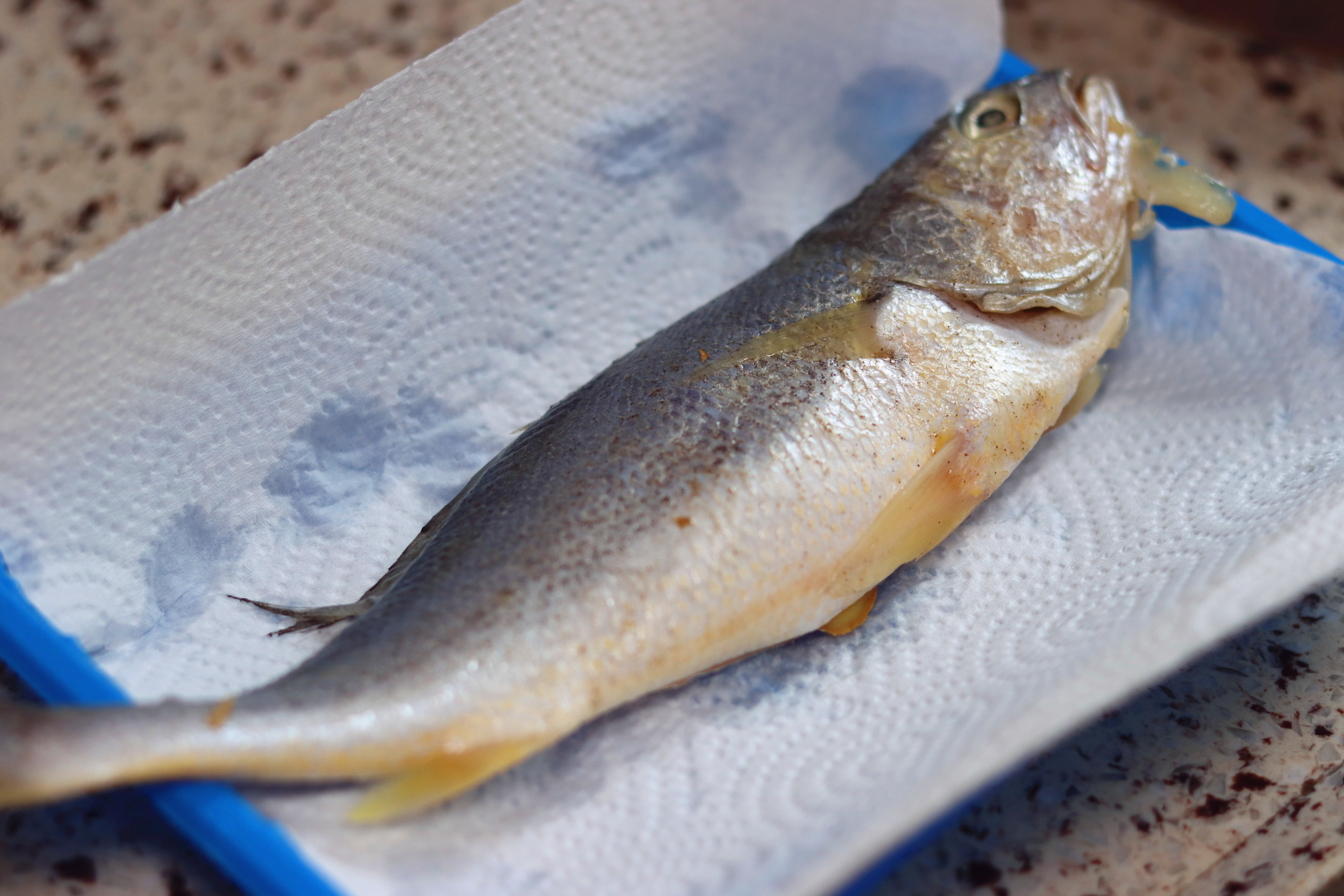 据说这个煎锅能聚油还超好用！——苏泊尔火红点聚油煎锅使用评测