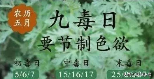 五毒月里九毒日，我有艾草我不怕！