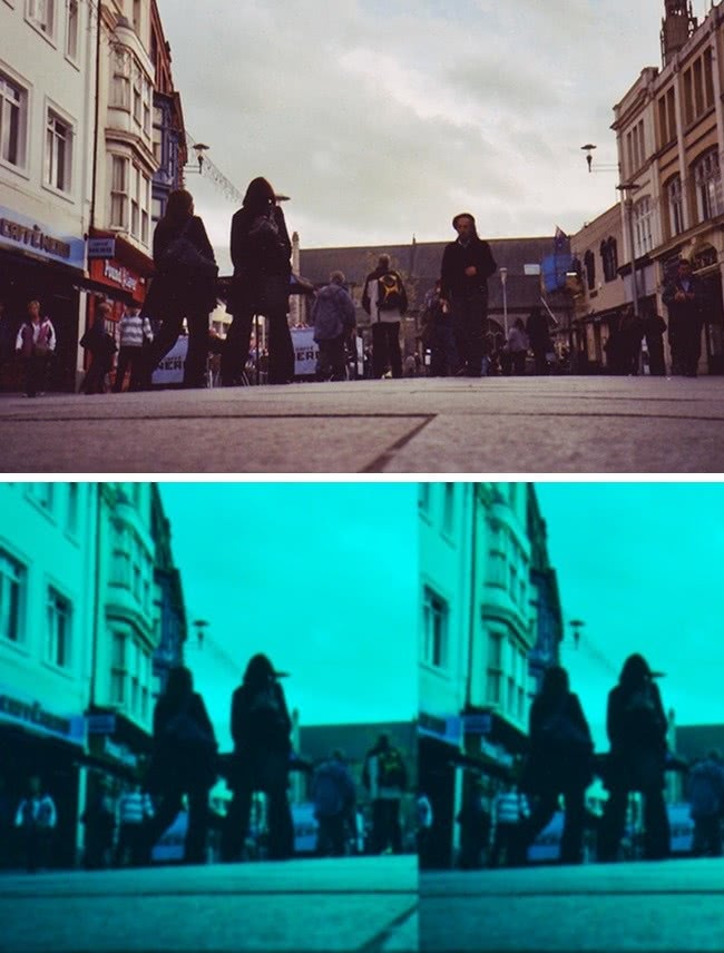 什么动物视力模糊不清,视力与人类一样的动物