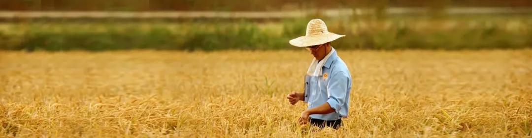 重庆正大农牧食品有限公司招聘,真牛工厂招聘信息