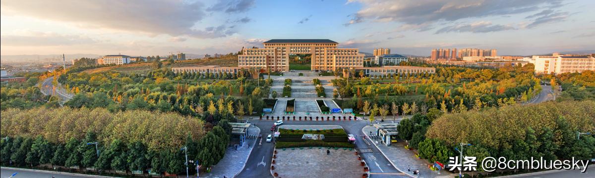 学医不代表什么都懂,学医不从医好吗