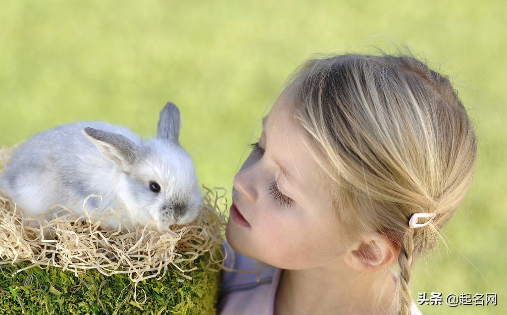 起名女孩儒雅好听的字大全,好听有文化的女孩名字及常用字