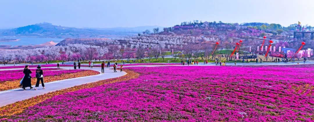 东港这么美！我要去看看
