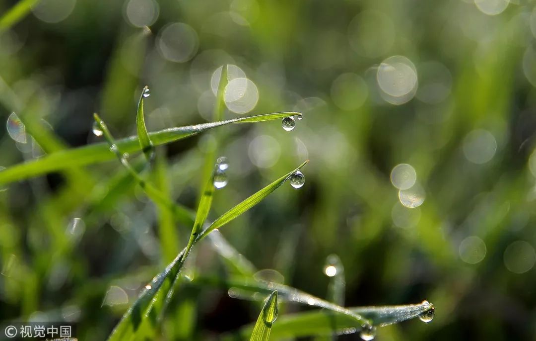 被捧上天的保健品,小心这4种常见保健品不要吃了