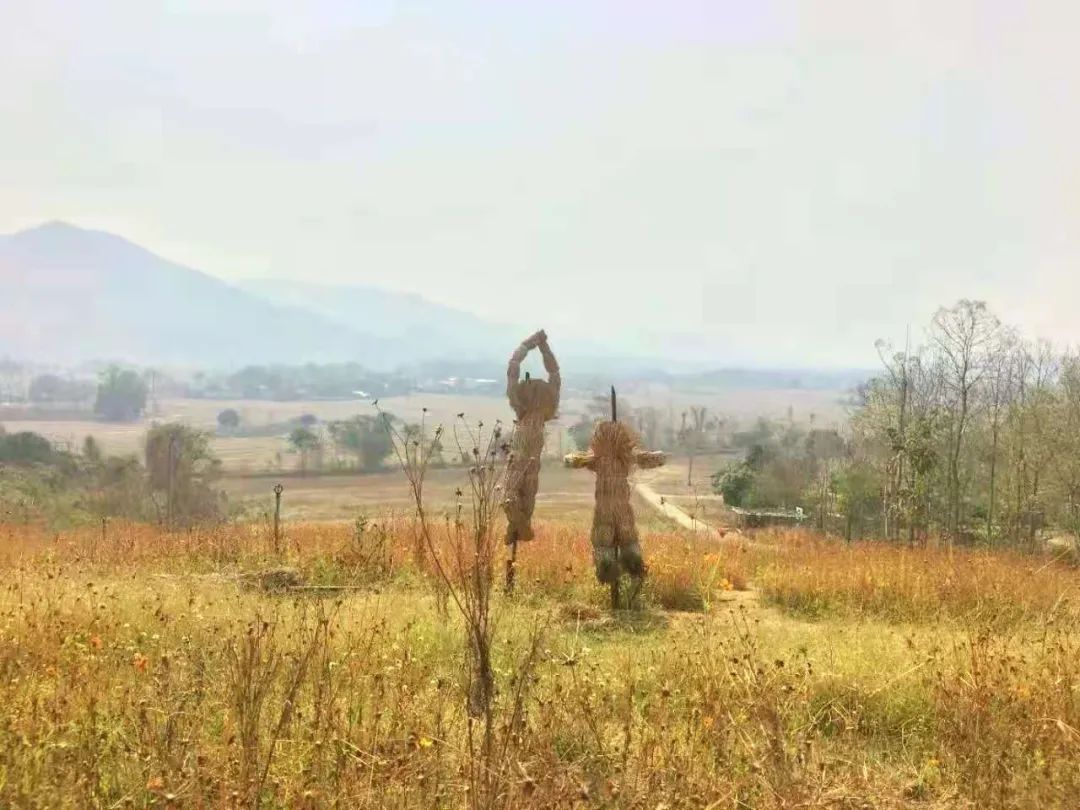 泰国有多好玩,泰国有什么好玩的东西