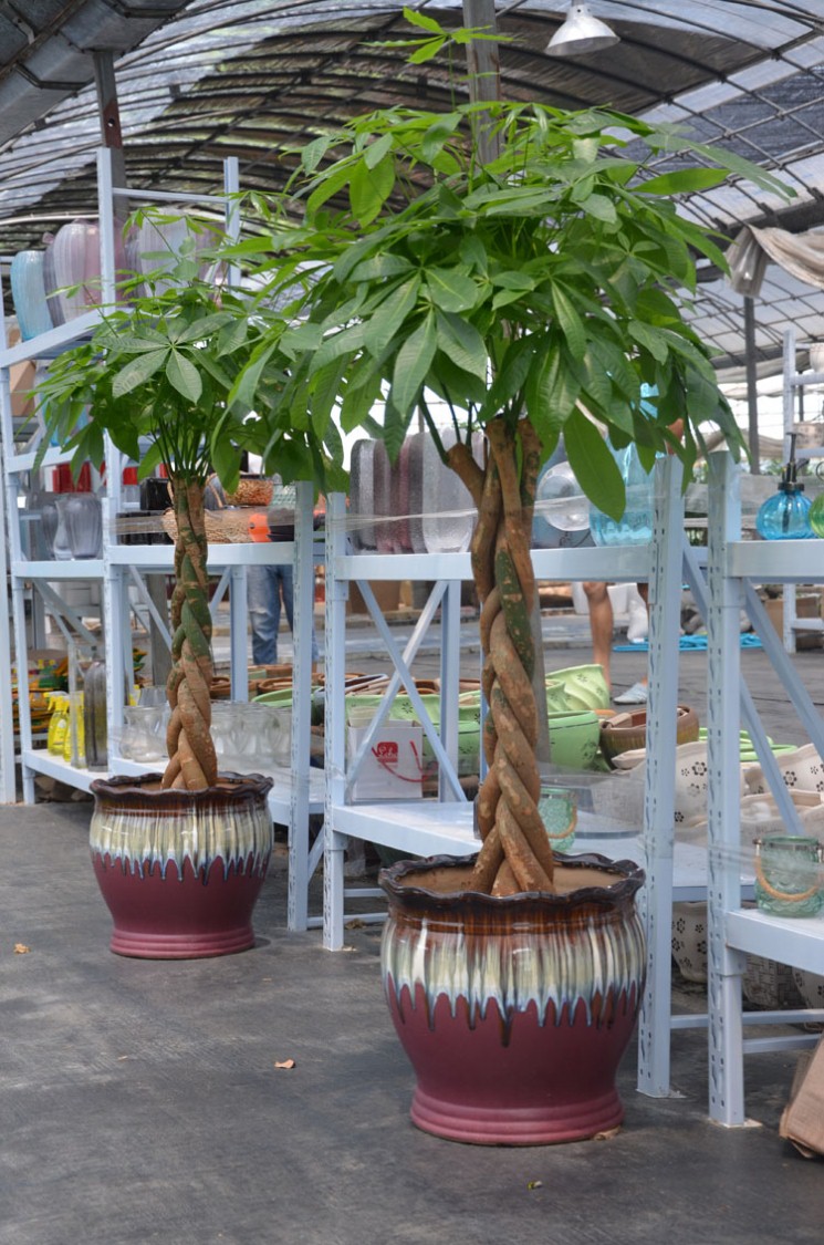 韩雪明星推荐好物,韩雪好物