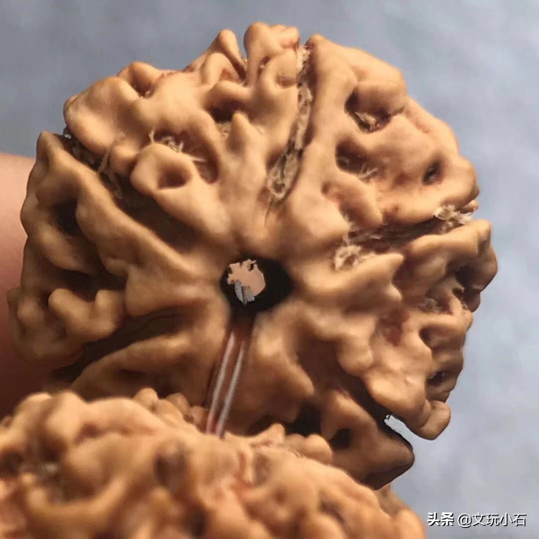 选菩提,选金刚菩提手串